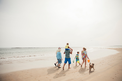 Rear view of a family walking along the beach with their dog while on holiday.