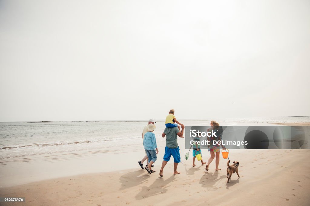 Walking Along the Beach Rear view of a family walking along the beach with their dog while on holiday. Family Stock Photo