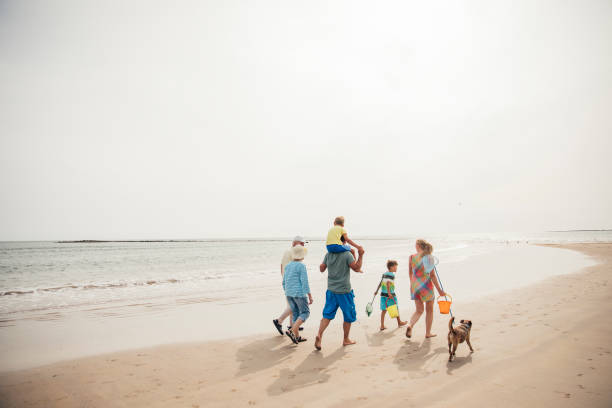 Walking Along the Beach Rear view of a family walking along the beach with their dog while on holiday. staycation photos stock pictures, royalty-free photos & images