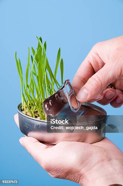 Grama Da Pode - Fotografias de stock e mais imagens de Aberto - Aberto, Abril, Alumínio