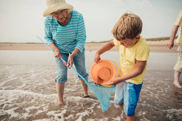 istock Grandmother Helping Little Boy Search 932375772