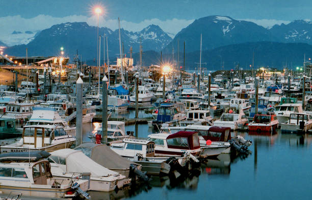 porto de homer, alasca - homer - fotografias e filmes do acervo