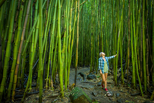 Woman exploring bamboo forest while hiking Pipiwai trail in Haleakala National park.