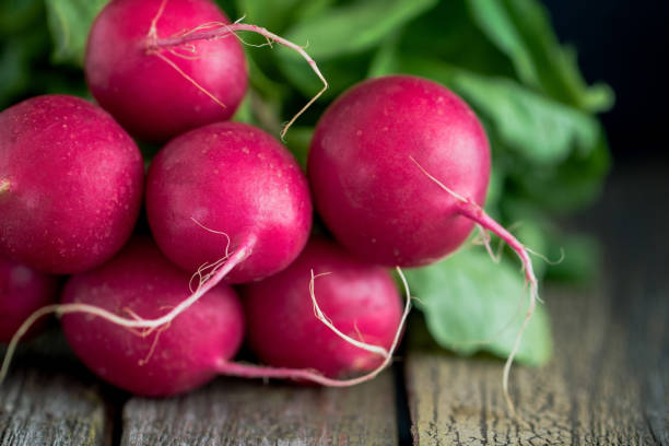 Branch of fresh radish over rustic old boards. The concept of a harvest and organic food. Copy space. Branch of fresh radish over rustic old boards. The concept of a harvest and organic food. Copy space. radish stock pictures, royalty-free photos & images