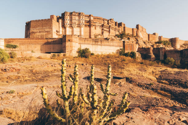 View of the city, Jaswant Thada and historical cannons on Mehrangarh Fort in Jodhpur, Rajasthan, India