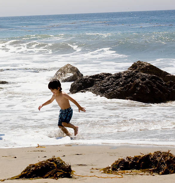 boy at the beach stock photo