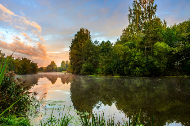 istock Fog on the morning river in late summer 932409160