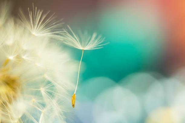 istock Saying Goodbye is So Hard to Do 932415606