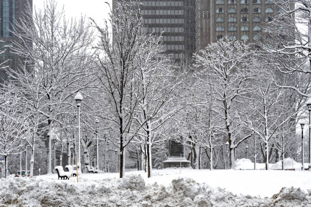istock Montreal downtown park in winter 932416700