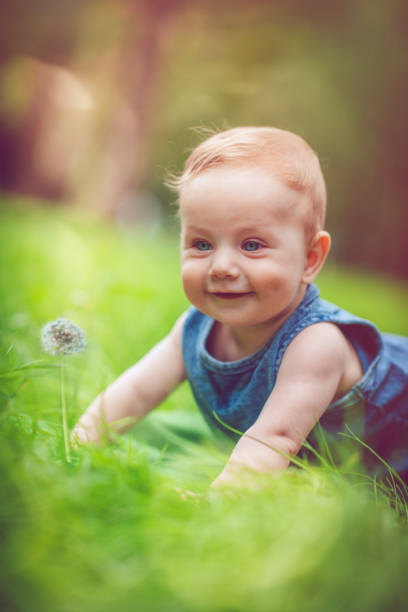 Happy baby boy laying on the grass in summer