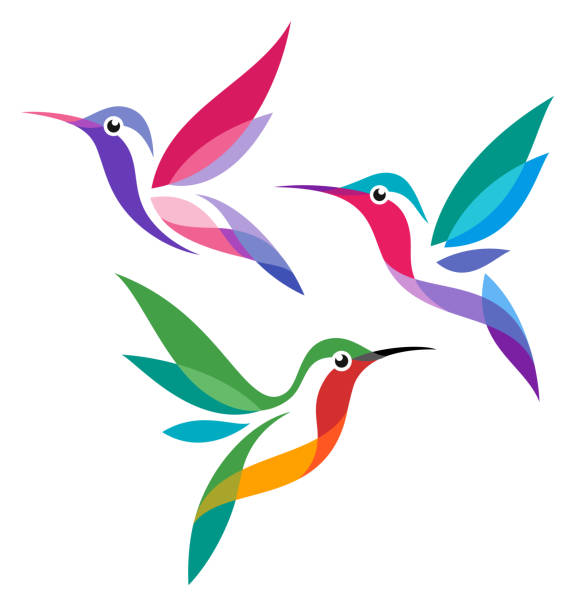 ilustraciones, imágenes clip art, dibujos animados e iconos de stock de estilizadas y aves - colibrí