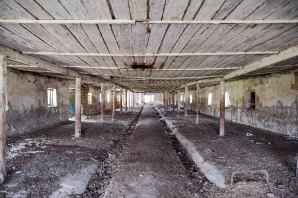 istock An old abandoned farm for cows. Style Abandoned 932428686
