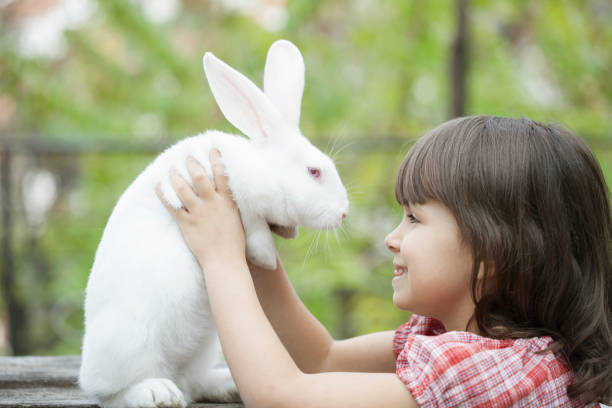 istock Little girl and white rabbit 932429504