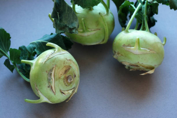 kohlrabies (nabos col) crudos sobre fondo neutro. - kohlrabi turnip kohlrabies cabbage fotografías e imágenes de stock