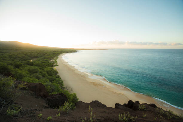 マウイ島のビーチで熱帯日の出。 - hawaii islands maui big island tropical climate ストックフォトと画像