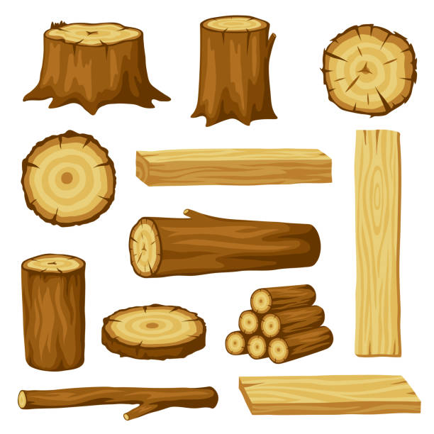 ilustrações de stock, clip art, desenhos animados e ícones de set of wood logs for forestry and lumber industry. illustration of trunks, stump and planks - trunk