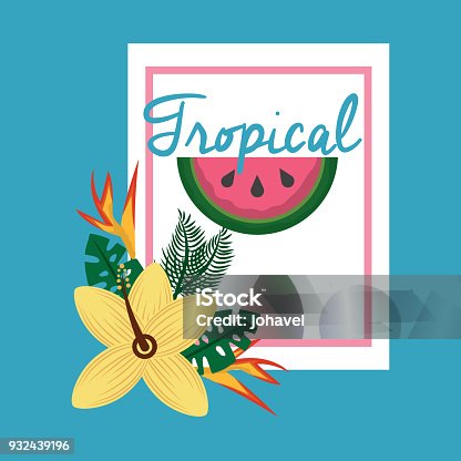 istock tropical fruit flower 932439196