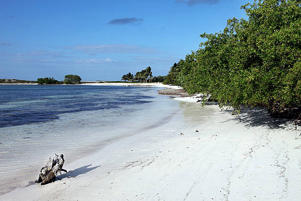 istock White sand beach near Santa Maria 93244087
