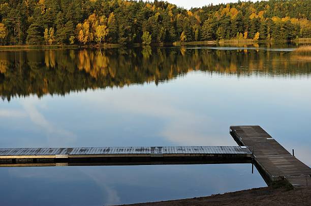 istock Lake view in the morning sunlight 93244179