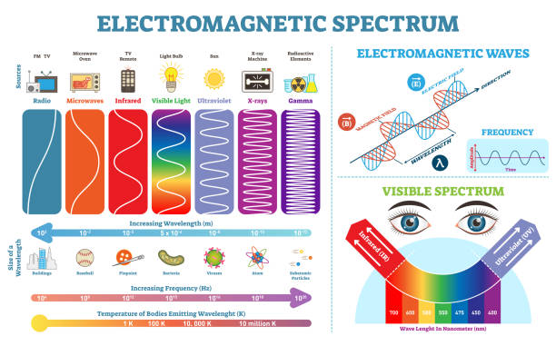 vollständige sammlung von elektromagnetischen spektrums informationen, abbildung zeigerdiagramm mit wellenlängen, frequenz und temperatur. elektromagnetische welle struktur schema. physik-infografik-elementen. - welle grafiken stock-grafiken, -clipart, -cartoons und -symbole