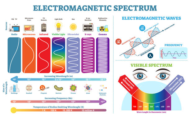 ilustrações de stock, clip art, desenhos animados e ícones de full electromagnetic spectrum information collection, vector illustration diagram with wave lengths, frequency and temperature. electromagnetic wave structure scheme. physics infographic elements. - high frequencies