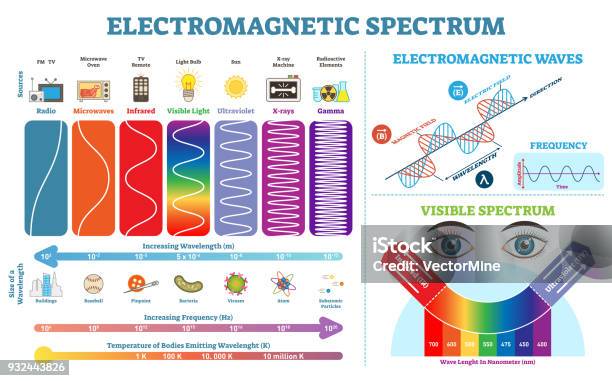 Full Electromagnetic Spectrum Information Collection Vector Illustration Diagram With Wave Lengths Frequency And Temperature Electromagnetic Wave Structure Scheme Physics Infographic Elements Stock Illustration - Download Image Now