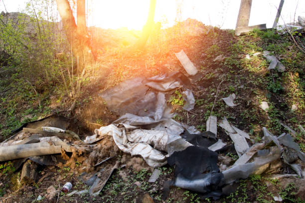 istock Recycle waste litter rubbish garbage trash junk clean training. Nature cleaning, volunteer ecology green concept. spring forest at sunset. Environment plastic pollution 932443910