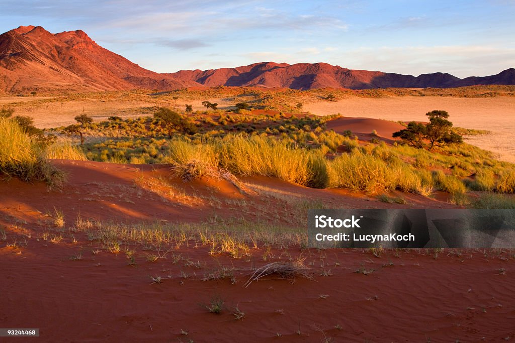 Sunset - Lizenzfrei Afrika Stock-Foto