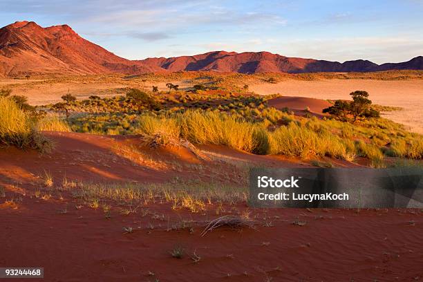 Sunset Stockfoto und mehr Bilder von Afrika - Afrika, Baum, Berg