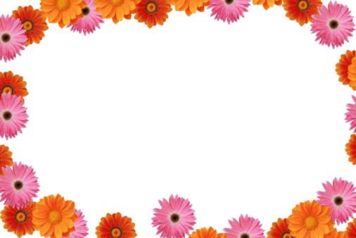 Frame of multicolored gerberas. Yellow, pink, orange, red beige flowers for greeting card for women's Day, Mother's Day. Copy space for text.