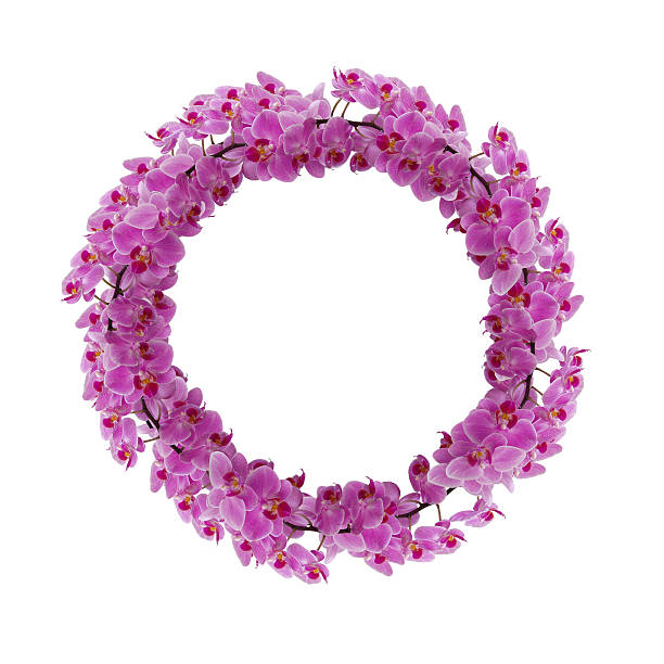 Flower arrangement floral wreath pastel color background \nPhoto taken from above overhead flat lay with strobe light in studio.