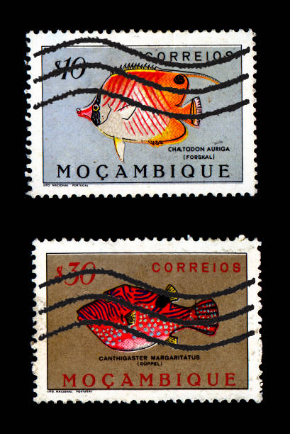 istock Group of canceled colorful fish stamps 93245033