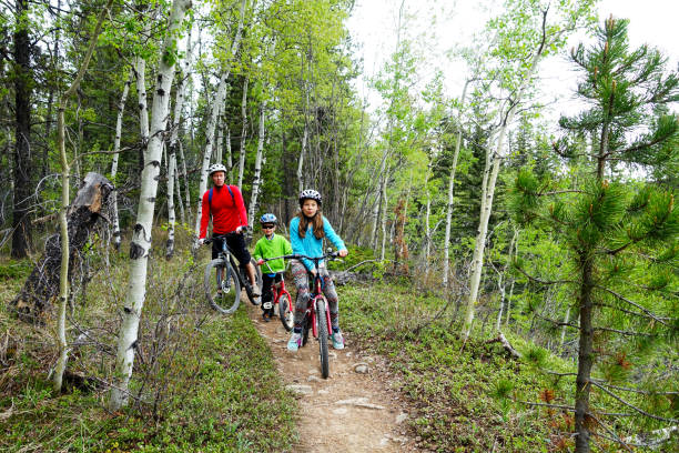 viagem de bicicleta de montanha família - foto de acervo