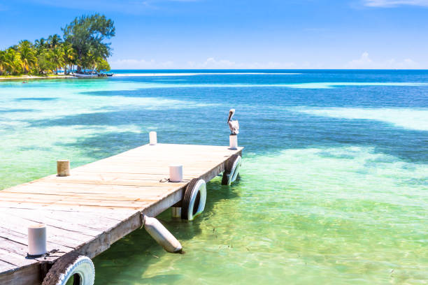 istock Belize, a tropical paradise in Central America. 932451870
