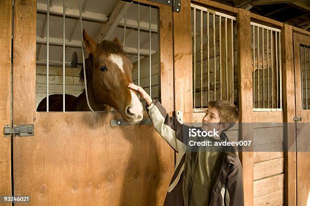 Horse Y Niño Foto de stock y más banco de imágenes de Animal - Animal, Animal doméstico, Caballo - Familia del caballo