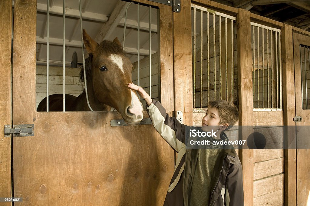 Koń i chłopiec - Zbiór zdjęć royalty-free (Brązowy)