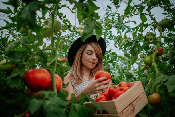 istock Proud of my organic harvest 932460250