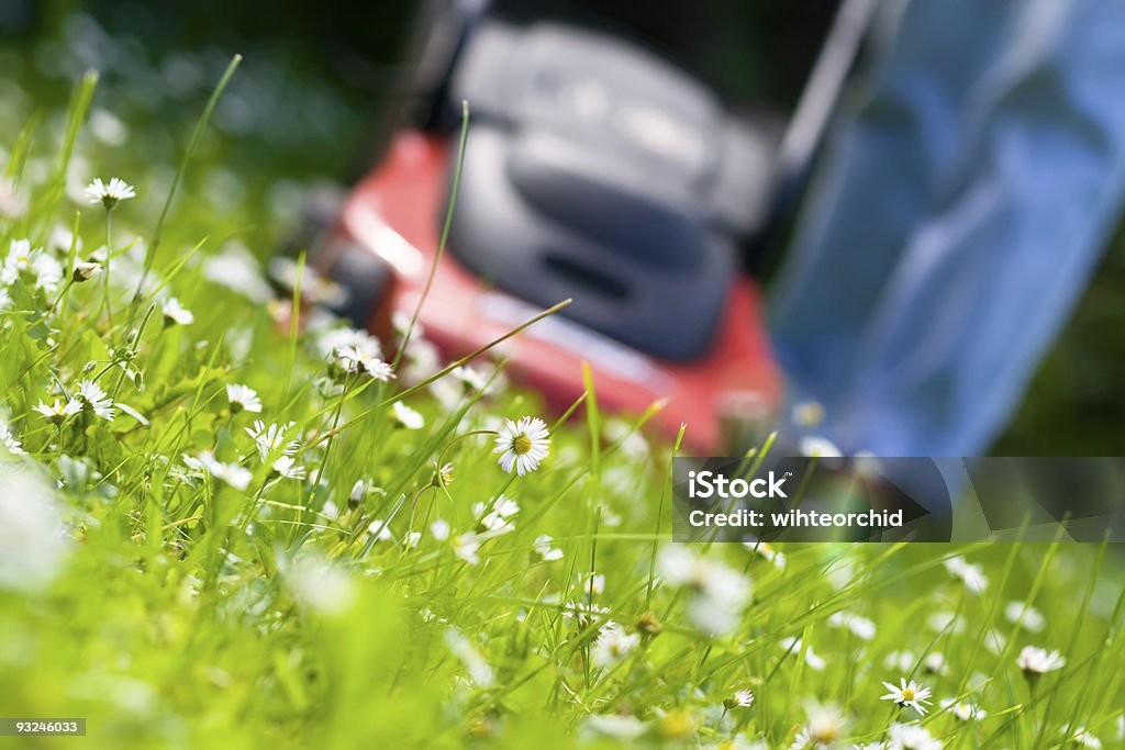 Cortador de grama - Foto de stock de Adulto royalty-free