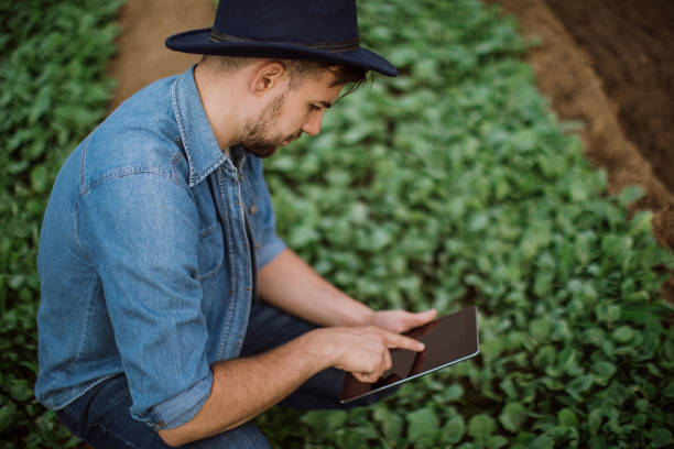 junger mann prüfen tablet informationen für seine kulturen - plant spinach stock-fotos und bilder