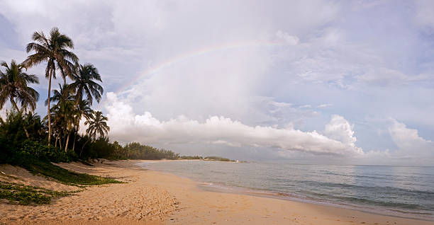 istock Paradise Island Bahamas Panoramic Morning with Rainbow 93246350