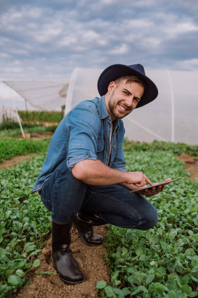 istock Agronomist examining crops before planting 932463682