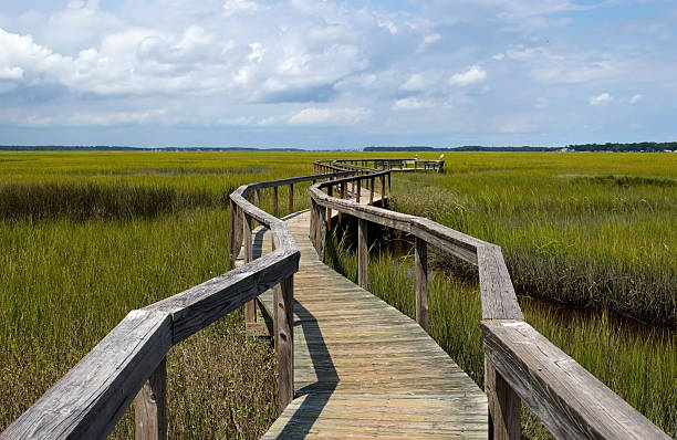 istock Wooden Boardwalk to Nowhere Through Marshland against Cloudy Sky 93246644