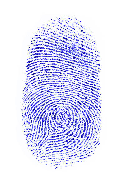 odcisk palca - fingerprint blue human finger fingermark zdjęcia i obrazy z banku zdjęć