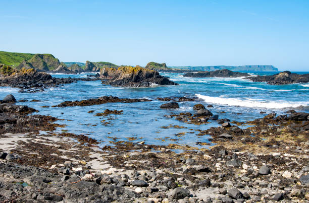 Rocks, cliffs and Atlantic coast at Ballintoy harbor, County Antrim, Norther Ireland, UK. The place featured in the Game of Thrones
