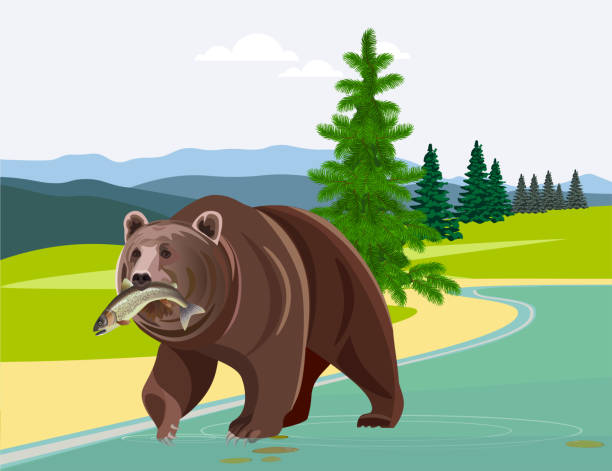Bear with fish Bear with fish in his mouth against the background of mountains. Vector illustration brown bear catching salmon stock illustrations