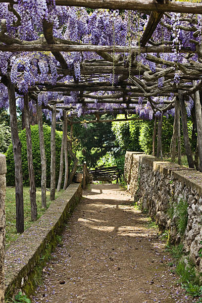 istock Villa Cimbrone gardens, Ravello, Italy 93247756