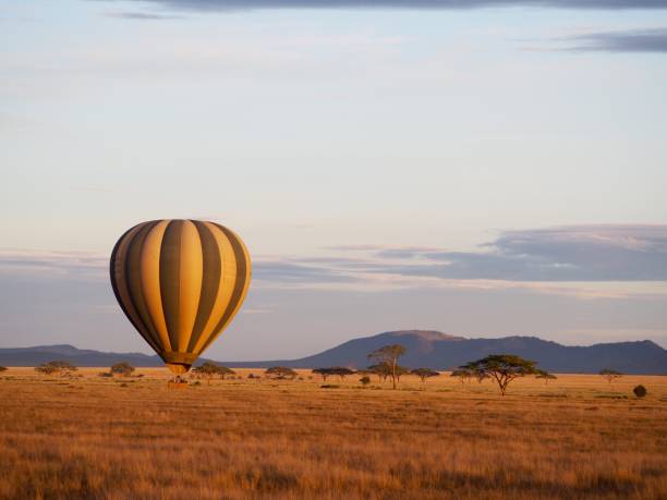 istock Serengeti, Tanzania 932483160