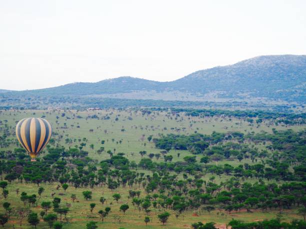 istock Serengeti, Tanzania 932483204