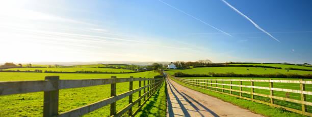 istock Fence casting shadows on a road leading to small house between scenic Cornish fields under blue sky, Cornwall, England 932487596