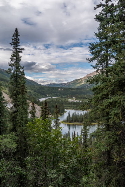 istock Horseshoe Lake in Denali National Park 932495846